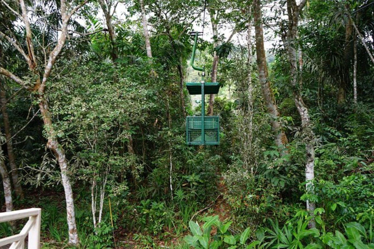 Panama stad: Gamboa Aerial Tram &amp; Utflykt till Sloth Sanctuary