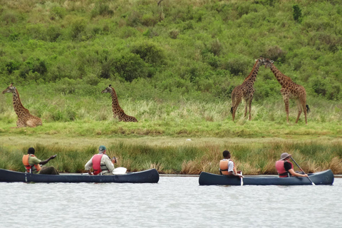 Excursão de um dia ao Parque Nacional Nakuru e ao Lago Naivasha