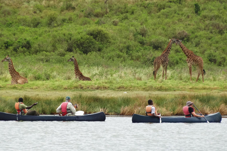 Jednodniowa wycieczka do Parku Narodowego Nakuru i nad jezioro Naivasha