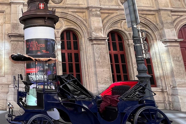 Vienna: Royal E-Carriage Sightseeing Tour incl. Prosecco60 min. Private Royal E-Carriage Tour with drinks