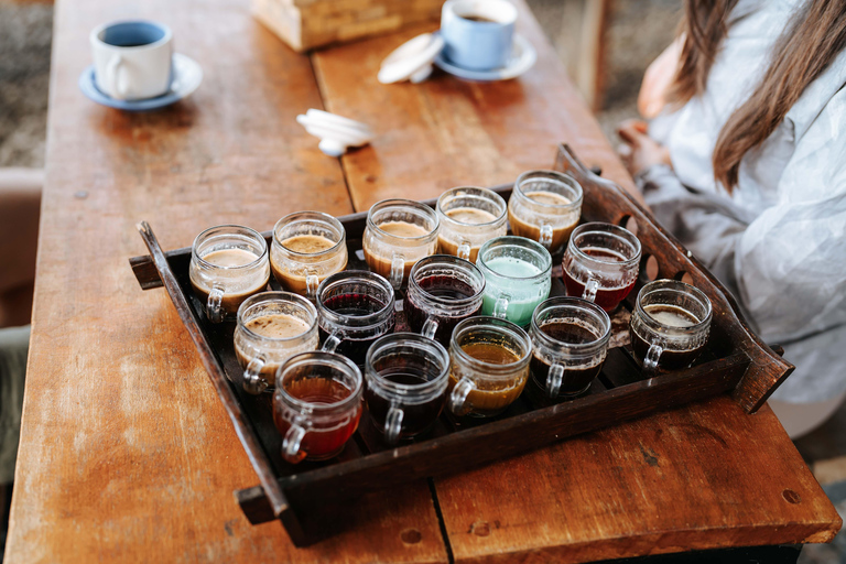 Bali: Private Shore Excursion from Celukan Bawang Port Best Asian Tour Picks – Shared Experiences ( Full Day )