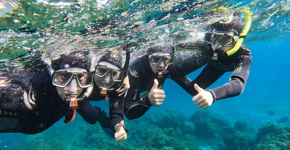 Tenerife: Snorkeling in a Marine Protected Area- Free Videos