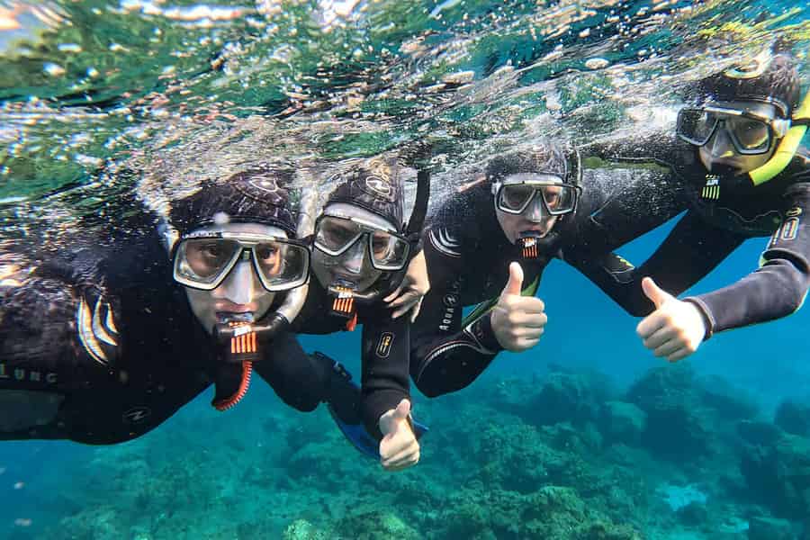 Teneriffa: Schnorchelabenteuer in einem Meeresschutzgebiet – kostenlose Fotos. Foto: GetYourGuide Teneriffa: Schnorchelabenteuer in einem Meeresschutzgebiet – kostenlose Fotos. Foto: GetYourGuide