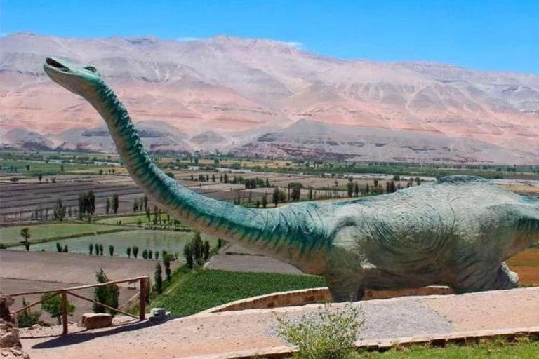 Arequipa: Excursion to Querulpa and Chancaray