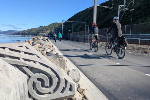 Wellington: eBike around the Harbour then Ferry back - Image 2