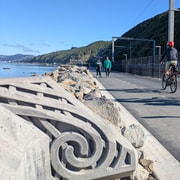 Wellington: eBike around the Harbour then Ferry back Wellington: eBike around the Harbour then Ferry back