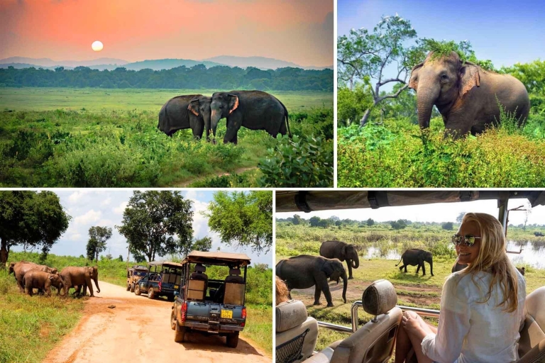 Wycieczka safari z Galle (Hikkaduwa) do Parku Narodowego Udawalawe
