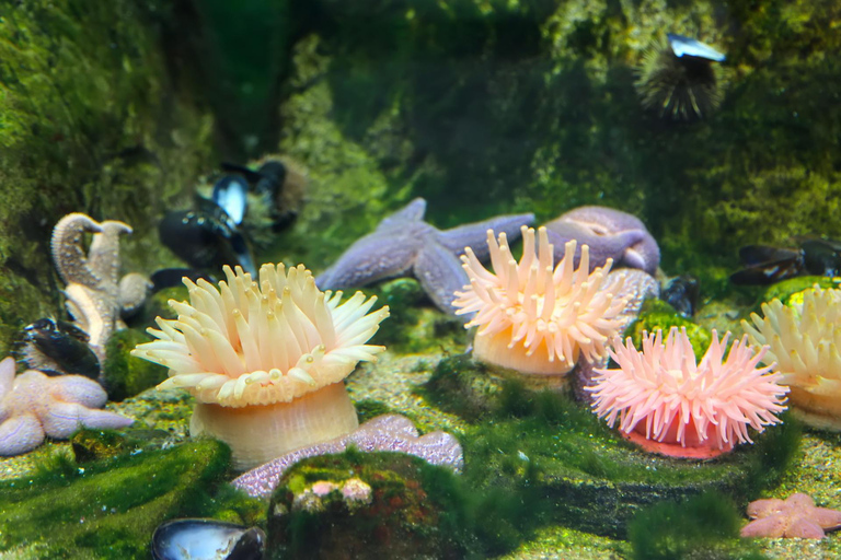 Skip-the-line Montreal Biodome Private Tour with Tickets 2-hour: Montreal Biodome Tour