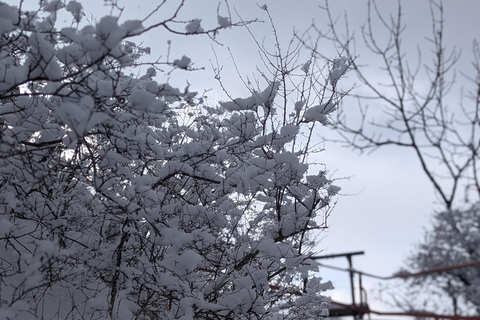 Tbilisi: Kojori Fortress Half-Day Tour