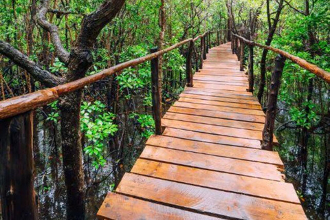 Zanzibar: Jozani & Salaam Monkeys, Mangroves & Secret Beach