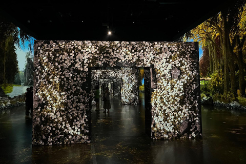 Seoul: Gangneung from K-Pop Band Bus Stop to Anmok Beach Option 1, meet at Dongdaemun