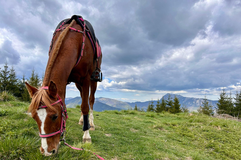 Muscel: The Hidden Trails: Full-Day Horseback Exploration