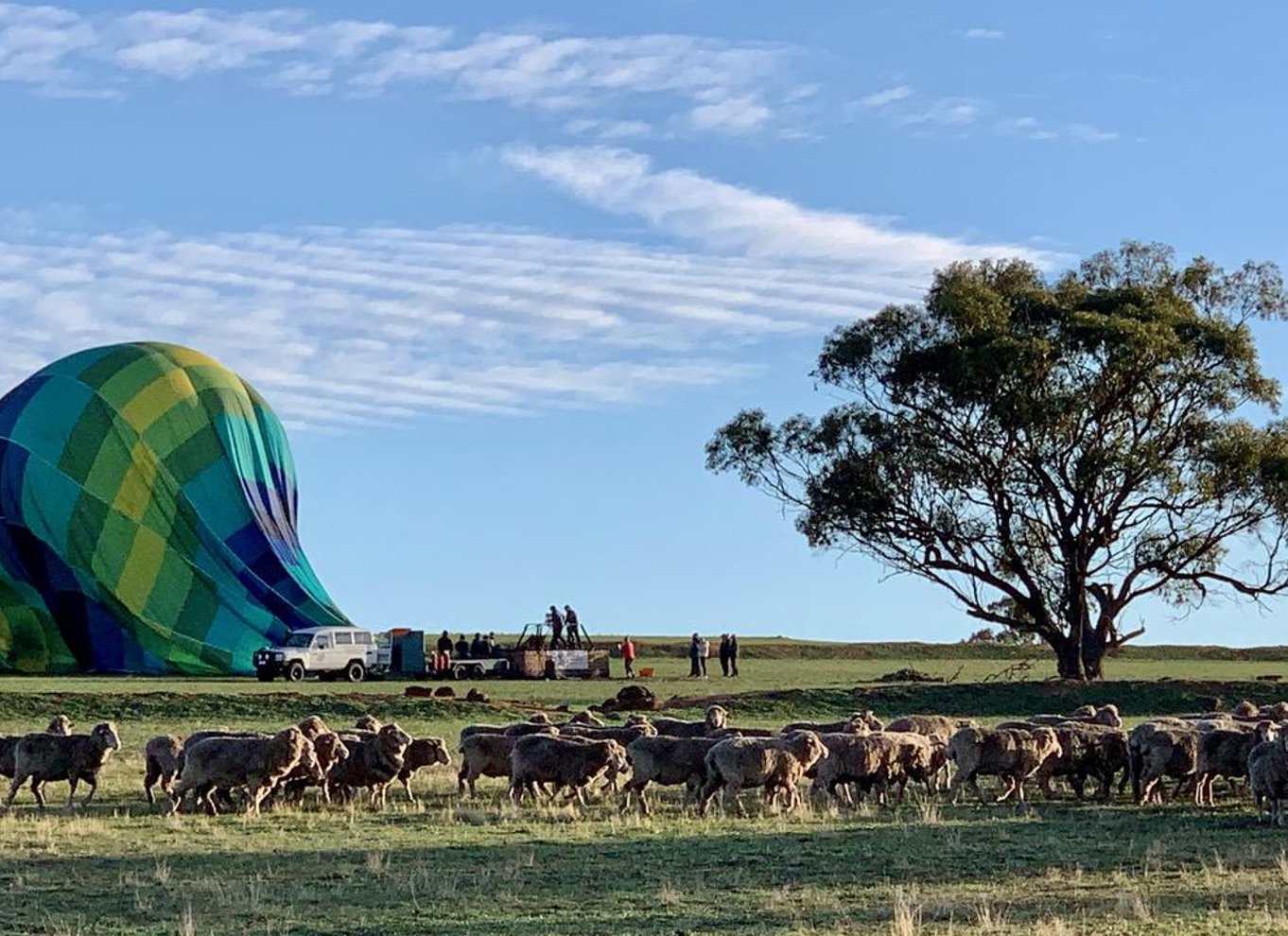 Perth til Northam: Ballonflyvning inklusive shuttlebus