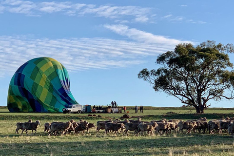 Vuelo en globo INCLUYE autobús de enlace de Perth a NorthamTransferencia de vuelta