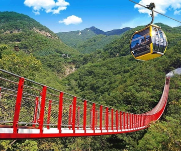 Seúl: DMZ con Puente Colgante y Góndola opcionales