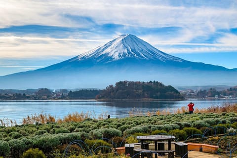 Tokyo: Private Mt Fuji Fully Customizable Day Tour - Image 2