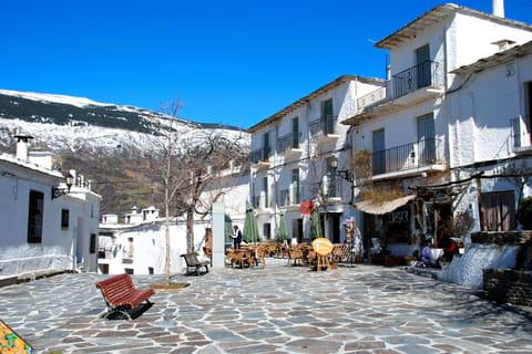 Alpujarras: Sightseeing Tour with Halal Picnic and Local Produce