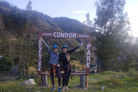 Cusco: Majestic Flight of the Condor in Chonta - Apurímac Canyon. CUSCO: Flight of the condors in Chonta, with lunch and admission