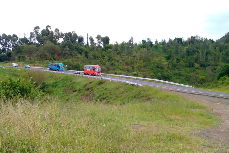 From Nairobi: Guided Bird Watching Tour