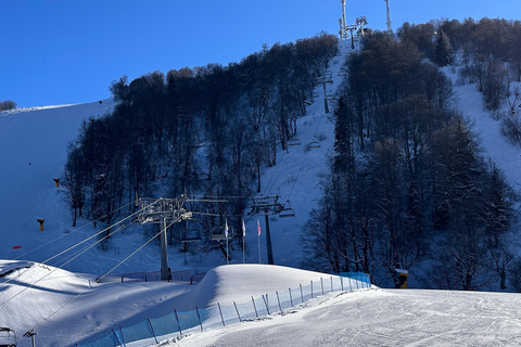 From Tbilisi: Borjomi and Bakuriani Day Trip