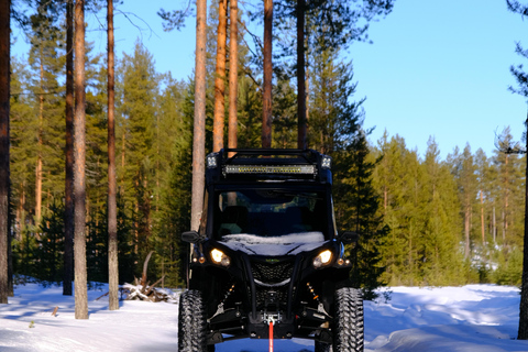 Helsinki: Buggy Ride, Reindeer Farm Visit, and Picnic