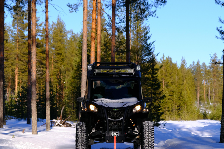 Helsinki: Buggy Ride, Reindeer Farm Visit, and Picnic