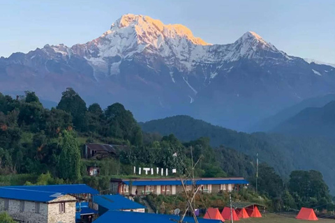 Pokhara: 2-Day Australian Base Camp & Dhampus Trek