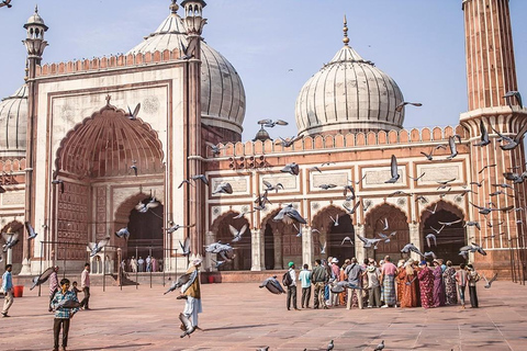 6-Day Golden Triangle Tour with Pushkar & Udaipur 6-Day Private Tour with 5*Hotels