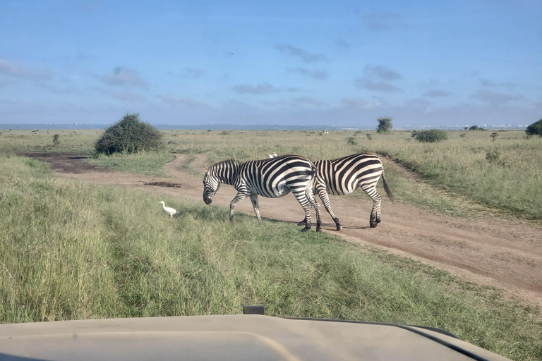 Nairobi: National Park, Karen Blixen & Kazuri Beads Factory
