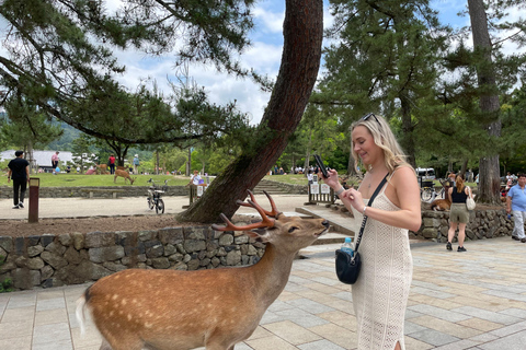 Nara: Halvdag med lokal guide – Big Buddha, hjort, helgedom, skogNara: Halvdag lokal guide- Stora Buddha, hjort, helgedom, skog