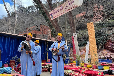 Marrakech: ourika valley lunch & guided hike to waterfalls Option 2: Ourika Valley Guided Trip with Lunch Included