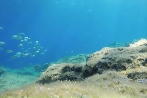 Corsica: Cargèse Guided Snorkeling Tour with Instructor