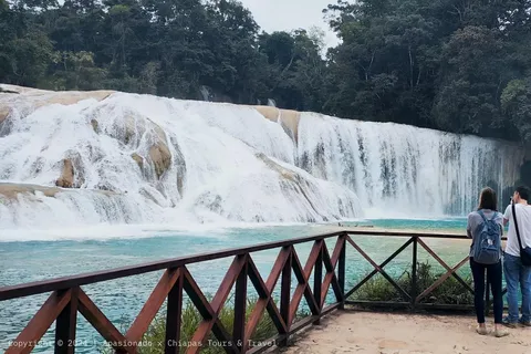 Desde Palenque: Palenque, Cascadas de Agua Azul y Misol-Ha