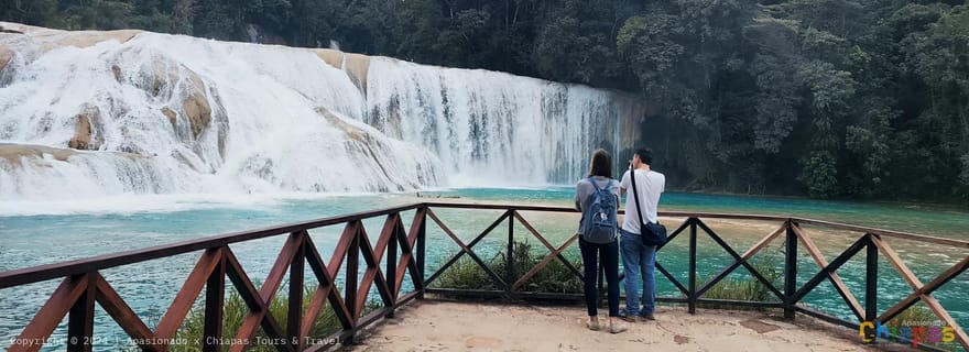 Depuis Palenque : Palenque, chutes d'eau d'Agua Azul et Misol-Ha