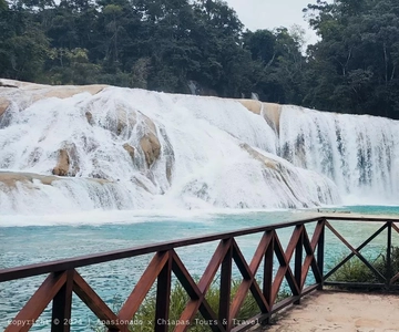 Depuis Palenque : Palenque, chutes d'eau d'Agua Azul et Misol-Ha