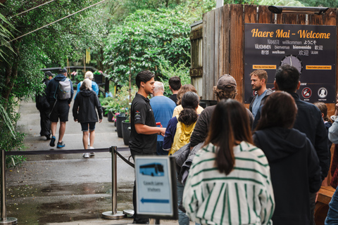 Au départ d&#039;Auckland : Visite des grottes de Waitomo avec transfert