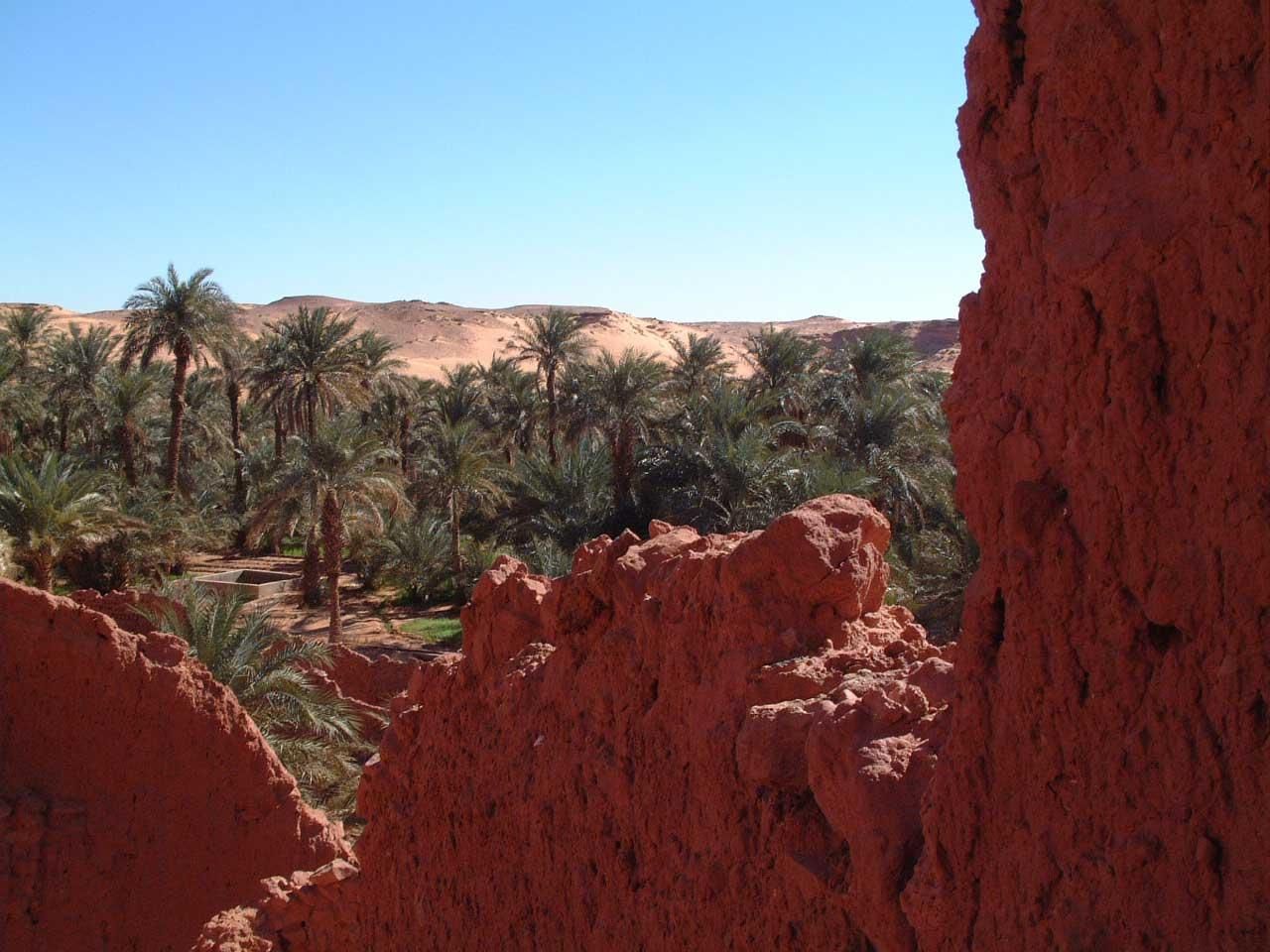 Geschichten aus der roten Oase – eine 4-tägige Reise nach Timimoun