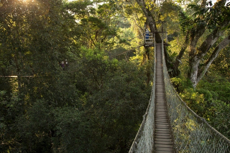 Madre de Dios-Inkaterra Amazone Reservaat 3 daagse tour