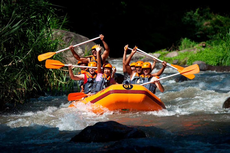 Bali: White Water Rafting and ATV Adventure with Lunch