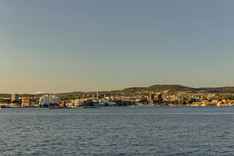 Oslo : Croisière touristique dans le fjord d'Oslo en bateau électrique