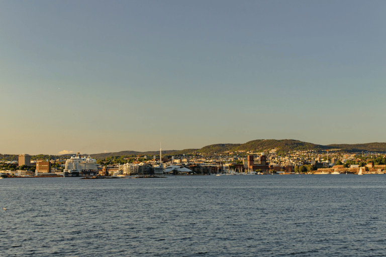 Oslo : Croisière touristique dans le fjord d'Oslo en bateau électrique