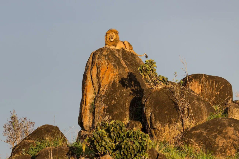 Kidepo Valley National Park 5-Day Safari Tour