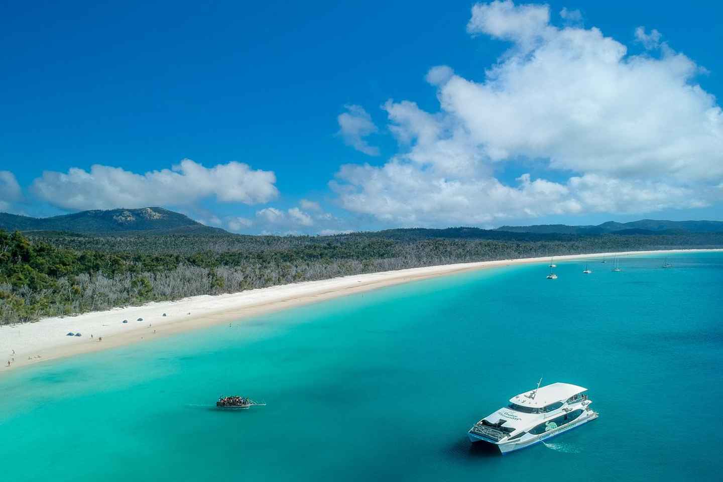 From Daydream: Whitsundays and Whitehaven Half-Day Cruise - Morning Cruise