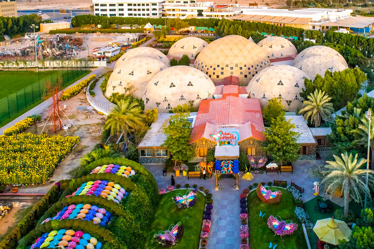 Dubai: Inträdesbiljett till Butterfly Garden