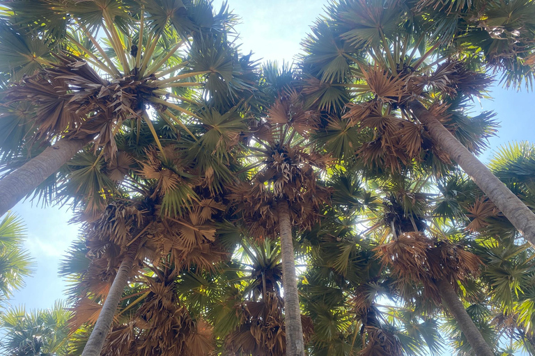 Ko Lanta: Sightseeingtour mit Mittagessen im LongtailbootKo Lanta: Sightseeingtour mit einem Longtailboot und Mittagessen