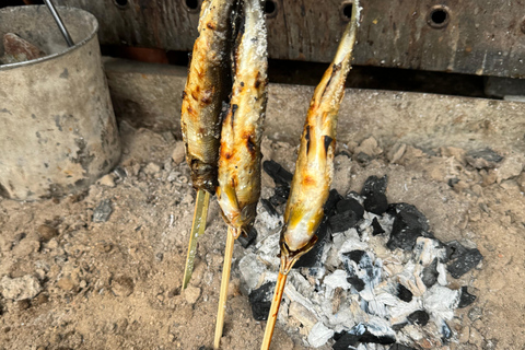 Tour privato di Kyoto