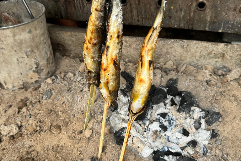 Tour privato di Kyoto