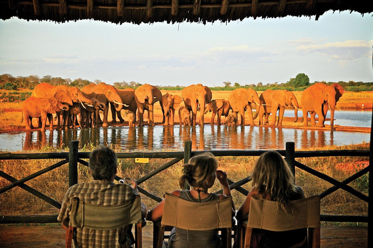 Au départ de Mombasa : Safari d&#039;une journée dans le parc national de Tsavo East