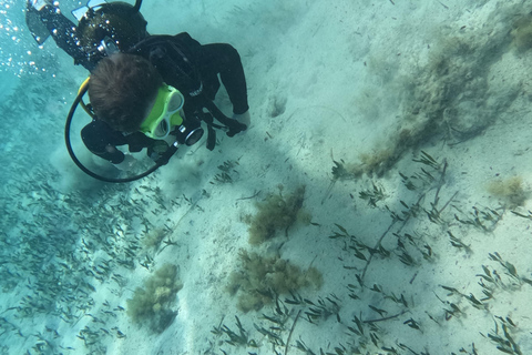 Paphos: Entdecken Sie das Tauchen mit Abholung