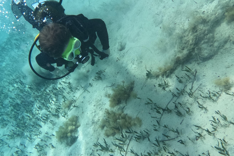 Paphos: Entdecken Sie das Tauchen mit Abholung